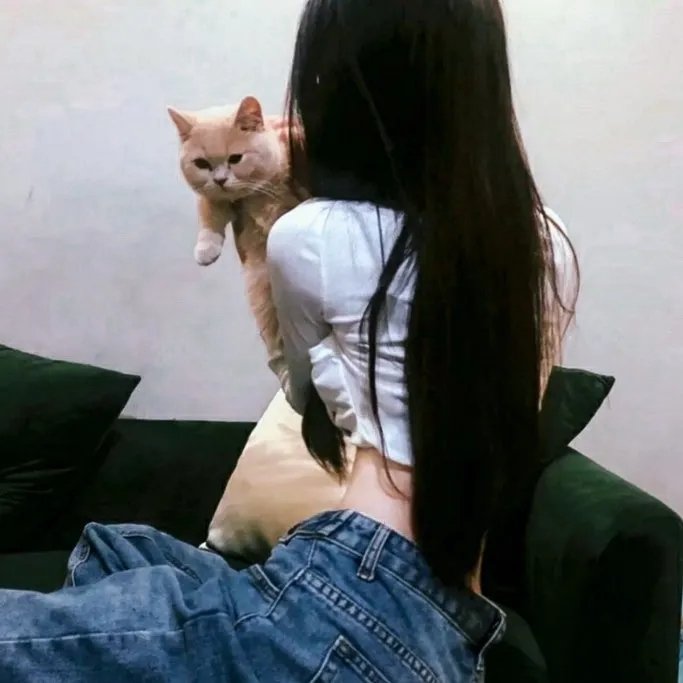 如梦如星