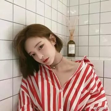 两只小猫的故事